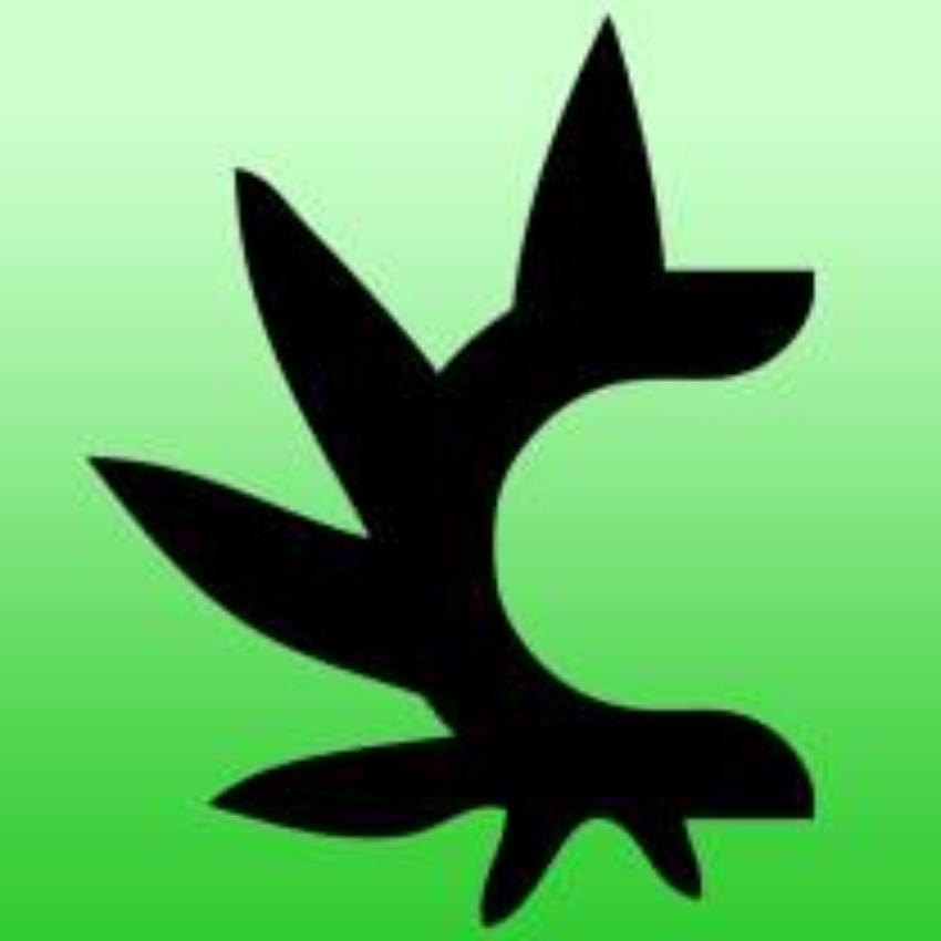 Cannabis Consulting Professionals